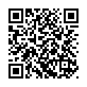To view this 2015 Volkswagen Passat Dallas TX from Vaquero Motors, please scan this QR code with your smartphone or tablet to view the mobile version of this page.