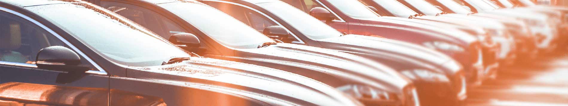 Team Bios Page Image